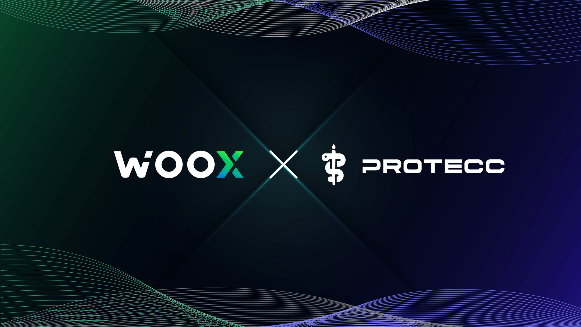 WOO X eyes NFT resurgence, partners with NFT algo market-maker Protecc Labs